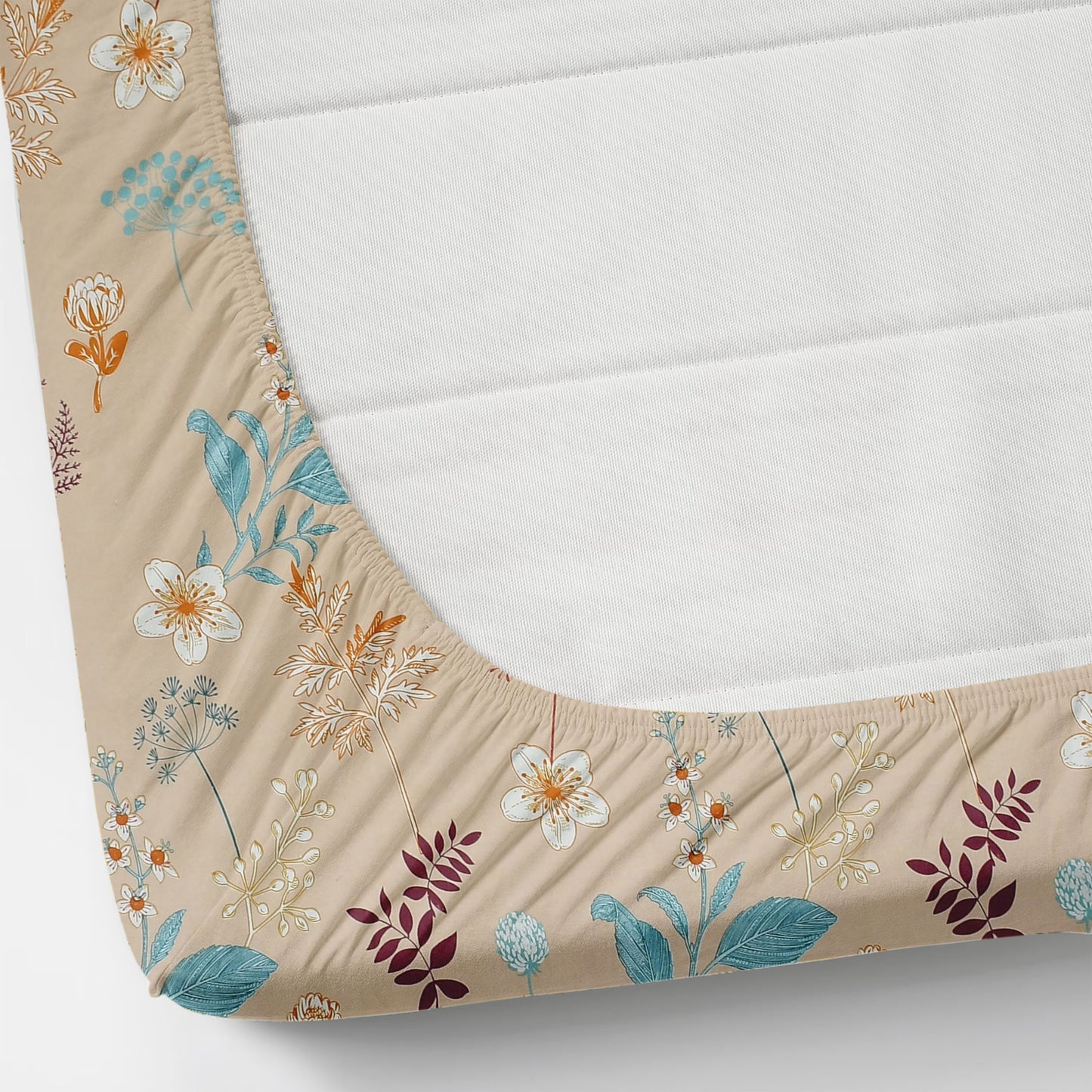 Cotton Bolls Fitted Elatic King Size Double Bedsheet